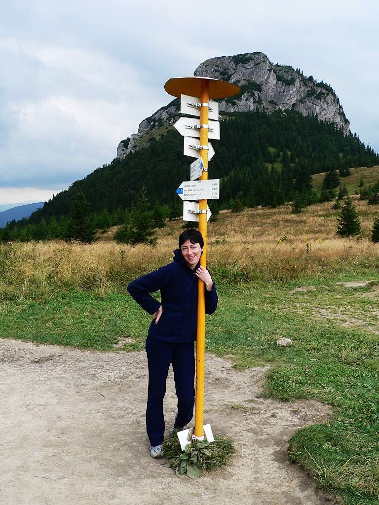 P1060842.jpg - Malý Rozsutec