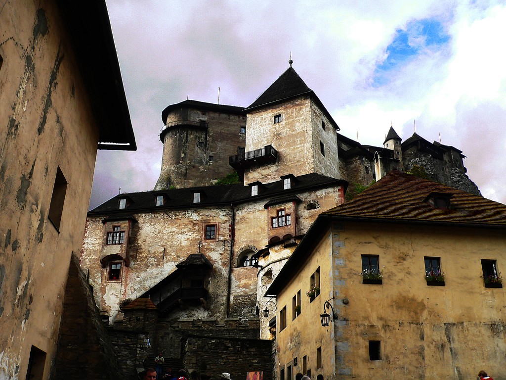 P1060846.jpg - Orava