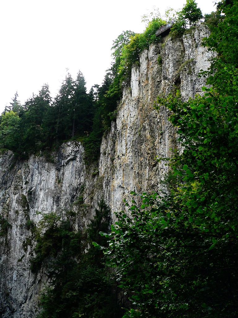 P1060899.jpg - Macocha